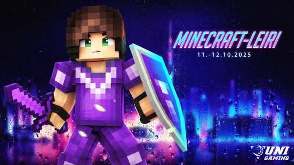 Minecraft online-leiri